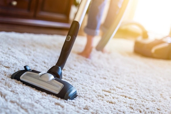 Professional home cleaning services