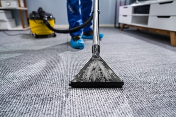 Thorough Home Cleaning LLC's other services