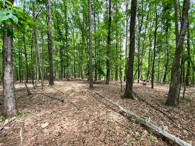 Ballantyne District Park during sunset Ballantyne, Charlotte, NC 28277