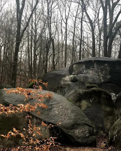Big Rock Nature Preserve during sunset Piper Glen Estates, Charlotte, NC 28277